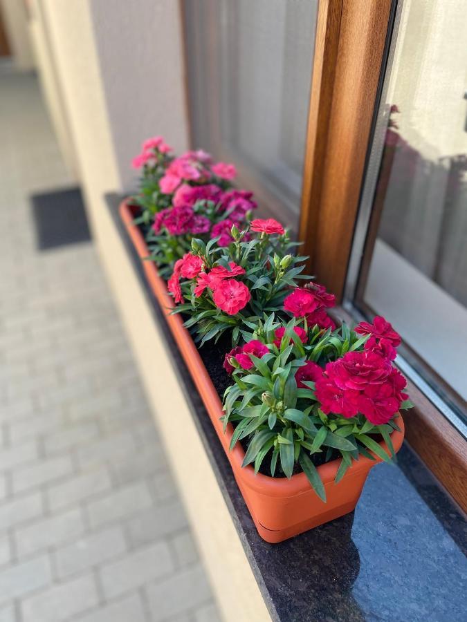 Giadda Rooms Борша Экстерьер фото